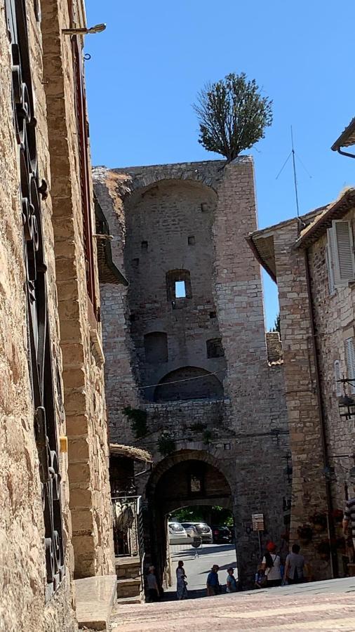 Francesco House Family Lägenhet Assisi Exteriör bild